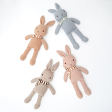 Load image into Gallery viewer, BUGS