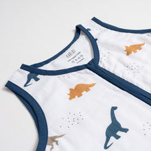 Load image into Gallery viewer, Sleep bag - Little Dino