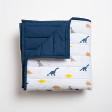 Load image into Gallery viewer, Toddler Quilt - Little Dino
