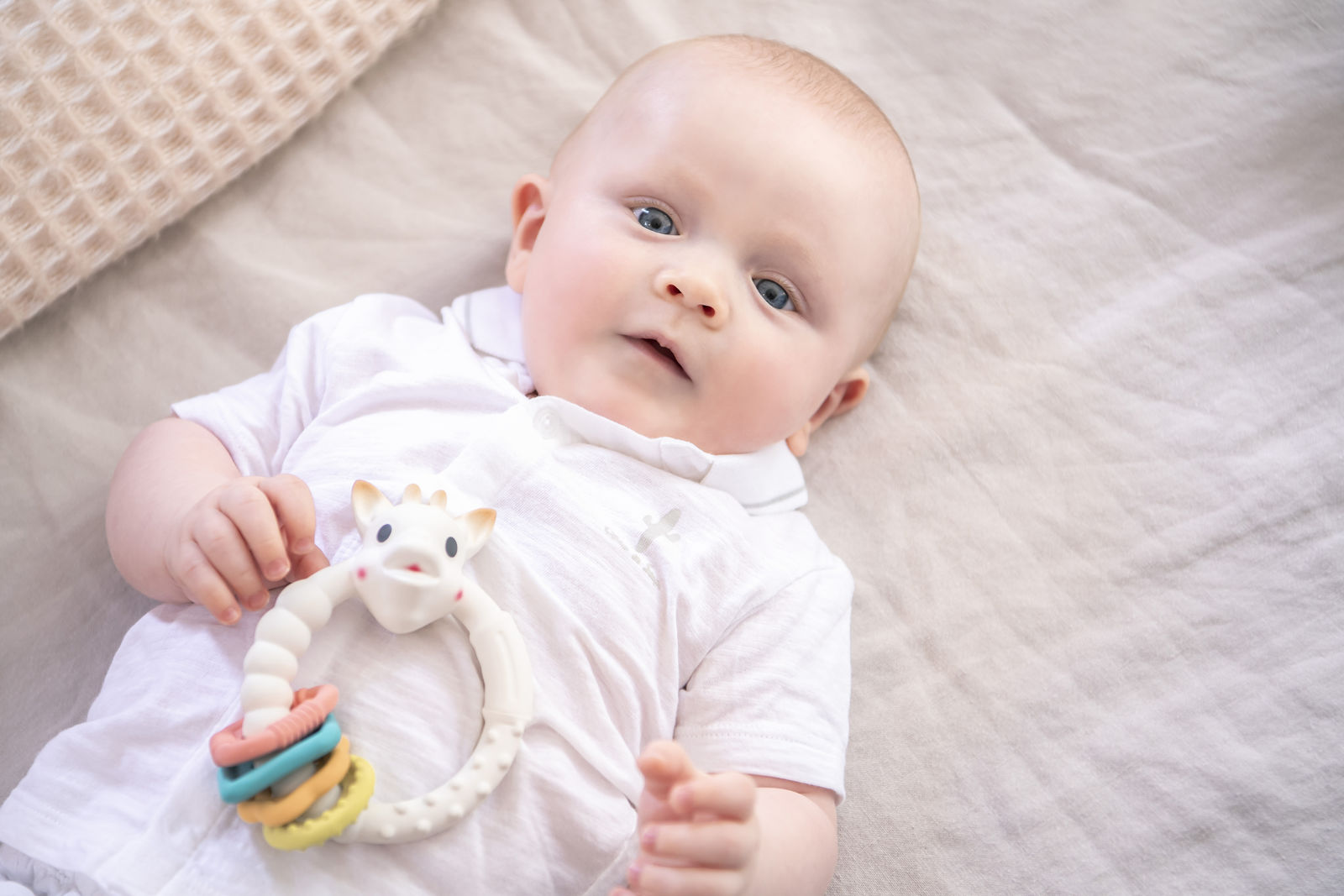 Sophie la girafe - So'pure Teething Colo'rings