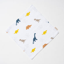 Load image into Gallery viewer, Muslin Washcloth - Little dino
