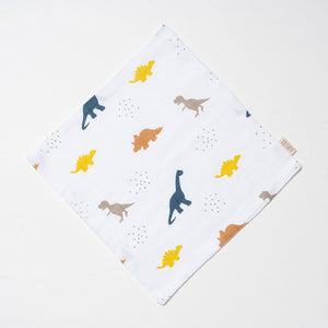 Muslin Washcloth - Little dino