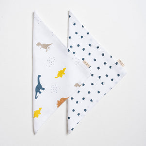 Gift box - Little Dino
