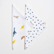 Muslin Washcloth - Little dino