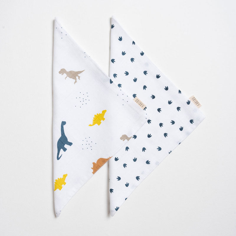 Muslin Washcloth - Little dino
