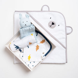 Gift box - Little Dino