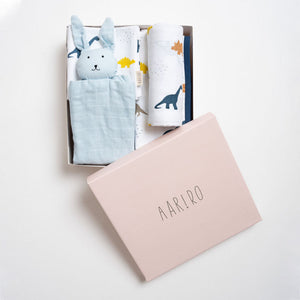 Gift box - Little Dino